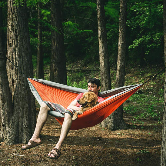 Hamac suspendu relaxation dans la nature